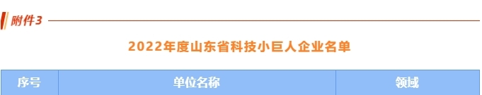 喜訊丨公司榮獲首批山東省科技小巨人企業(yè)！